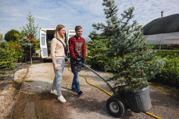 Best Dead Tree Removal  in Williamston, SC